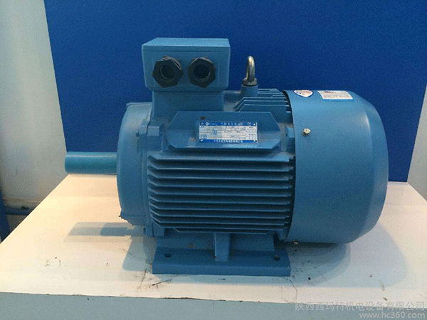 高效節(jié)能電機是西安泰富西瑪未來商業(yè)發(fā)展的方向。