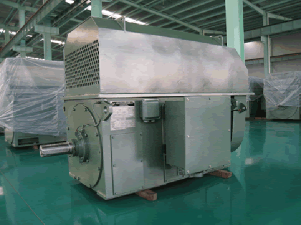 西安泰富西瑪高壓電機(jī)有哪些啟動方法? 西安泰富西瑪高壓電機(jī)有哪些啟動方法?